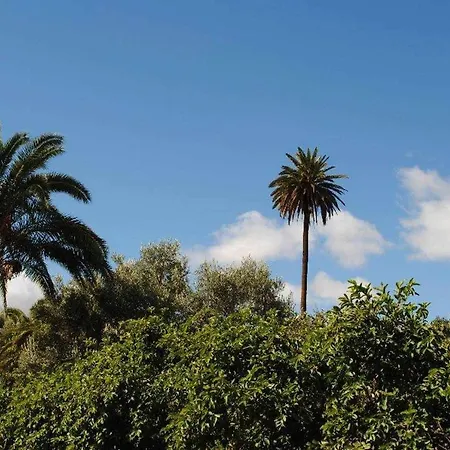 El Palmeral Del Valle Lantställe *