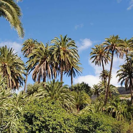 Lantställe El Palmeral Del Valle Santa Lucia