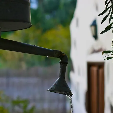 El Palmeral Del Valle Lantställe *